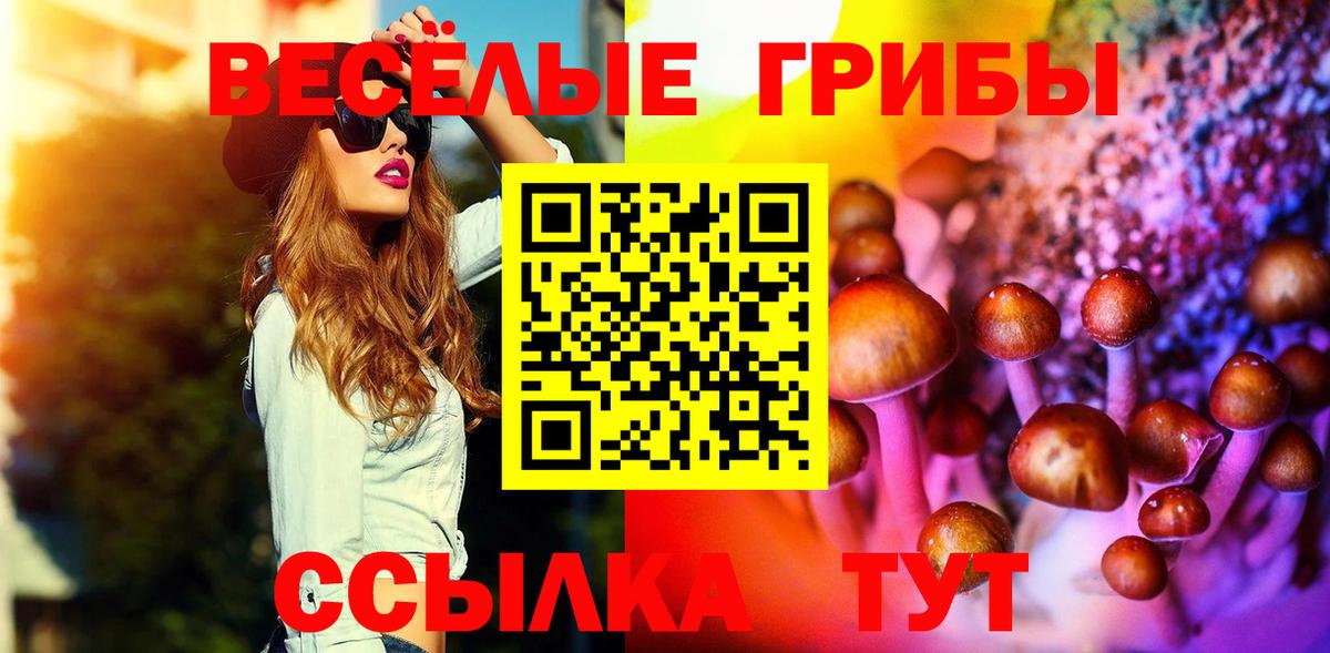 Волоколамск  Псилоцибиновые грибы Magic Shrooms  Вход с VPN 